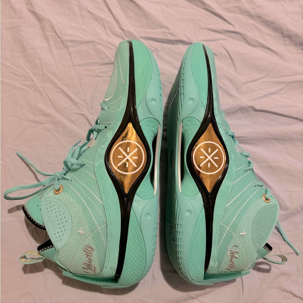 Way of wade shadow 5